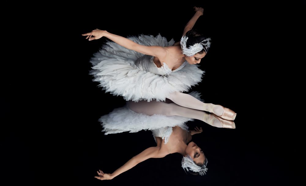 swanlake1